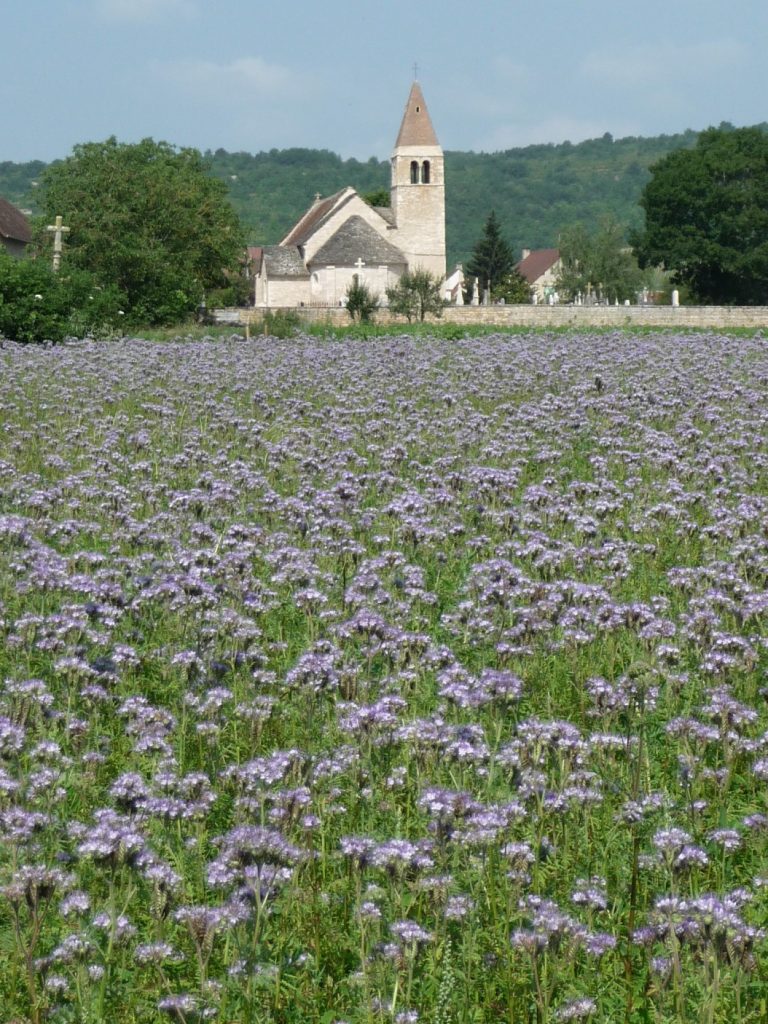 Lyon