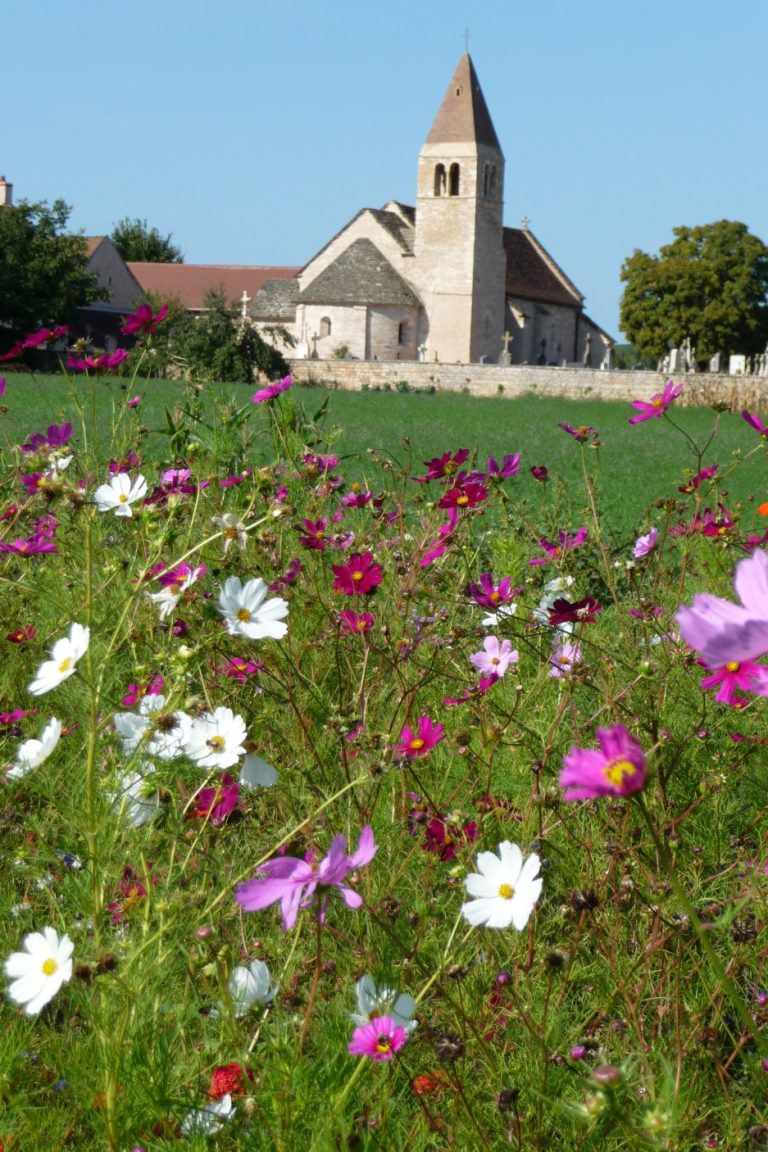 Pré_fleurs