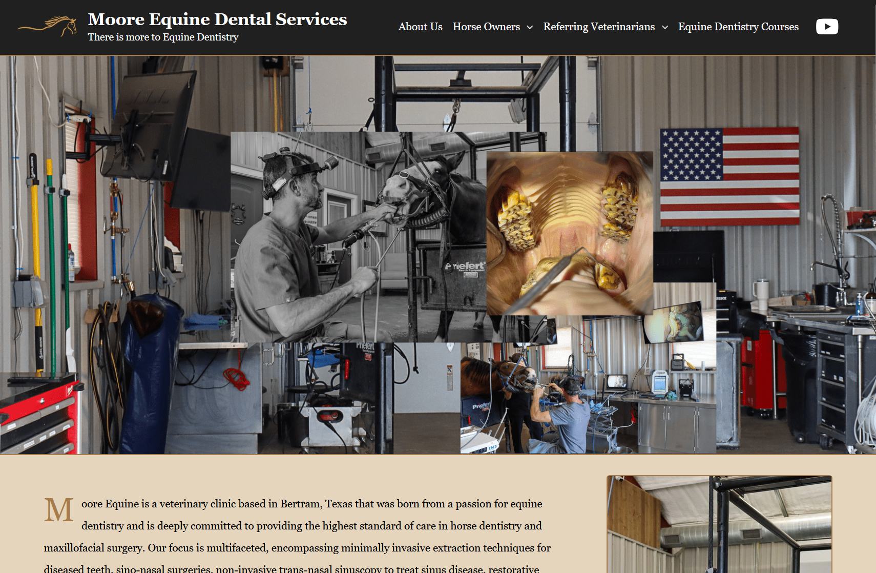 Moore Equine Dental Services